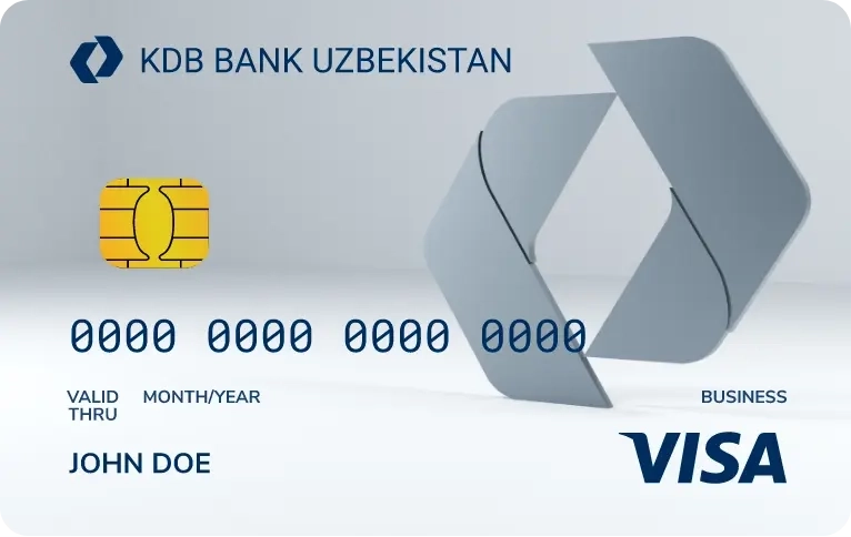 Visa Business Euro